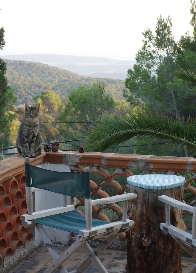 Villa Mountain Finca With Pool Puigpunyent